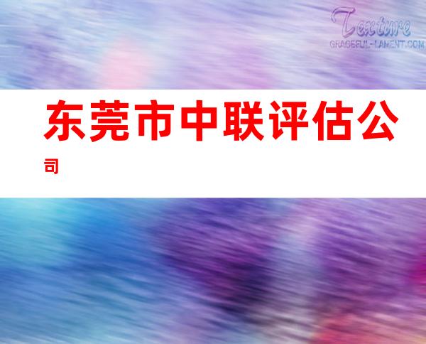 东莞市中联评估公司